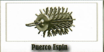 puerco espín foto de accesorio para desazolve